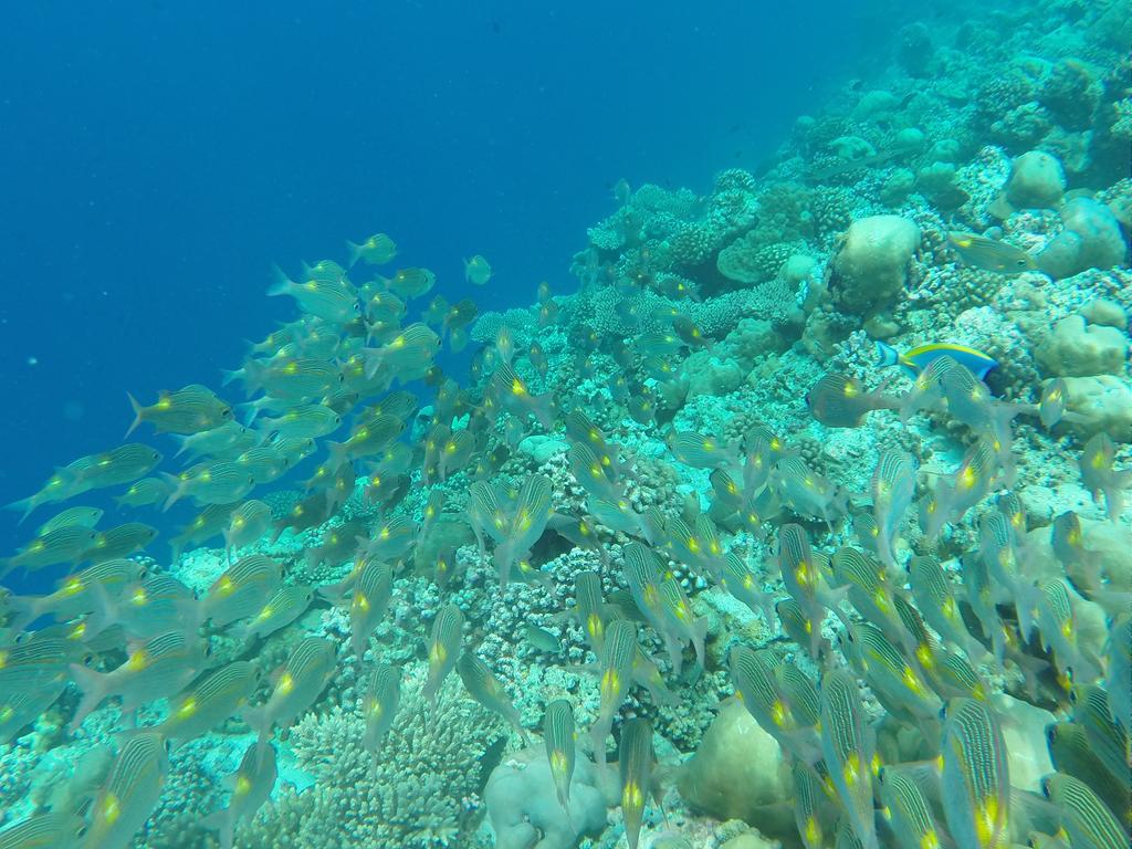 Ras Beach Inn Rasdhoo المظهر الخارجي الصورة