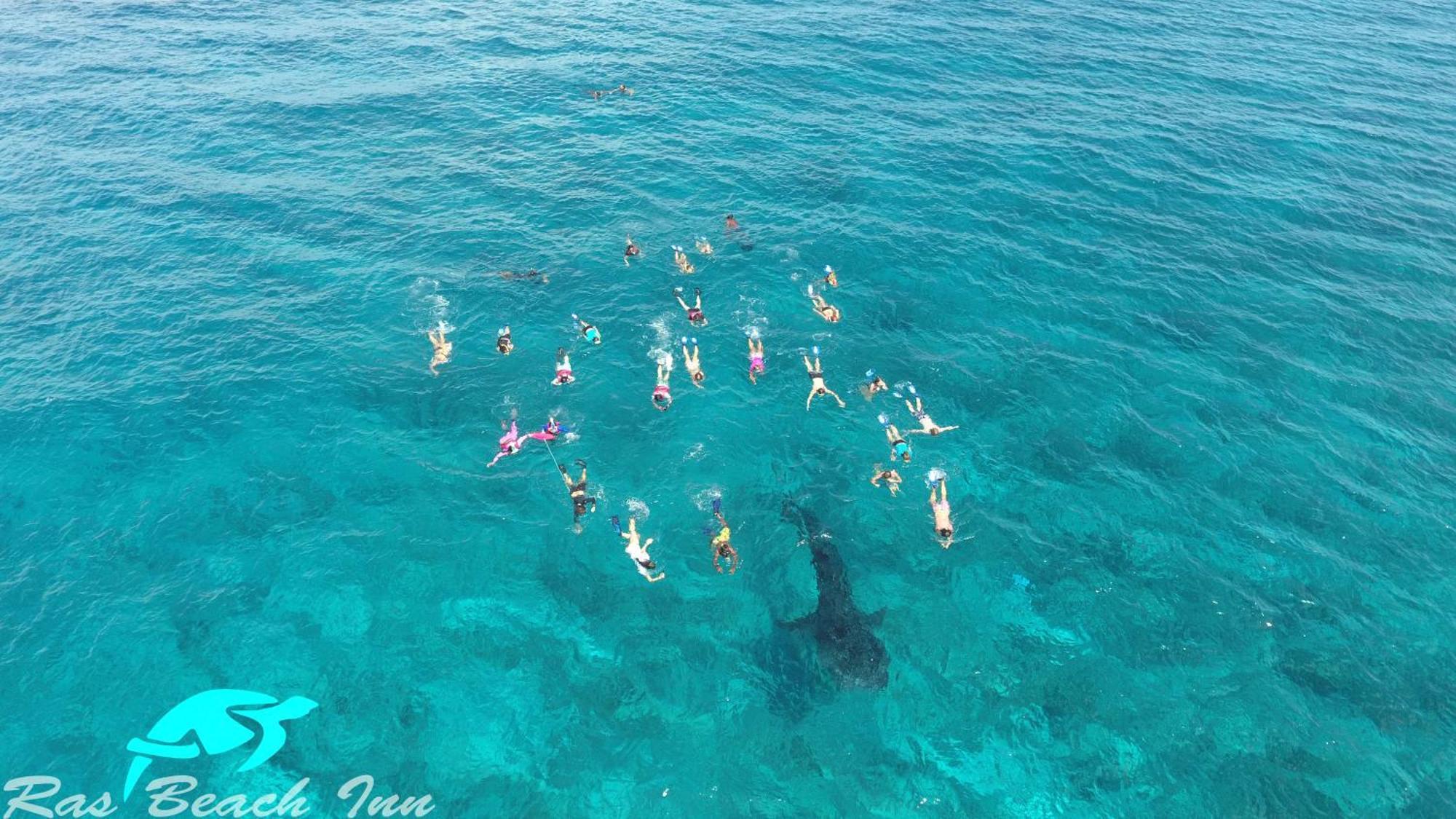 Ras Beach Inn Rasdhoo المظهر الخارجي الصورة