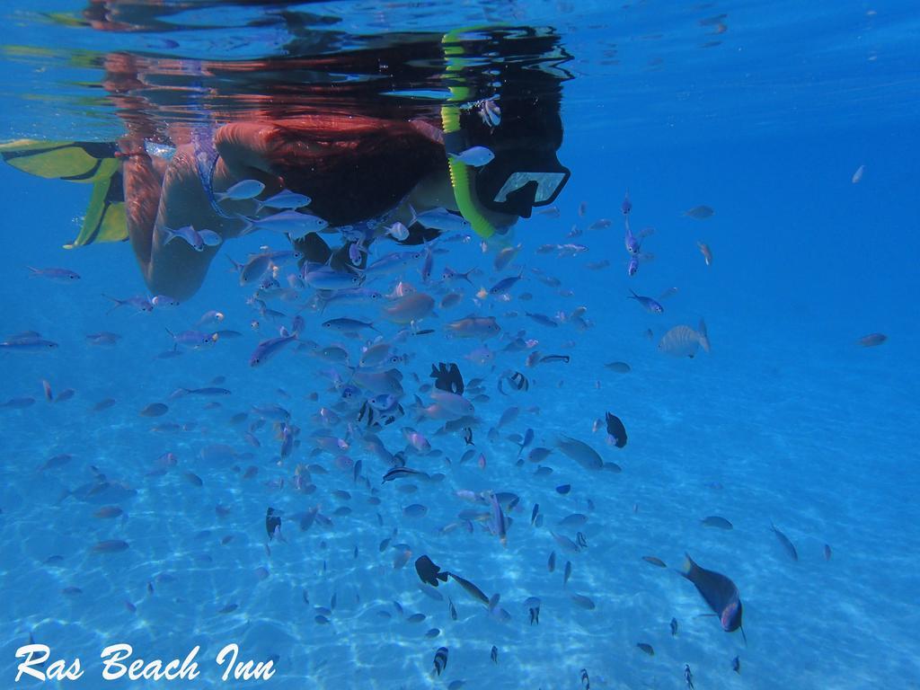Ras Beach Inn Rasdhoo المظهر الخارجي الصورة