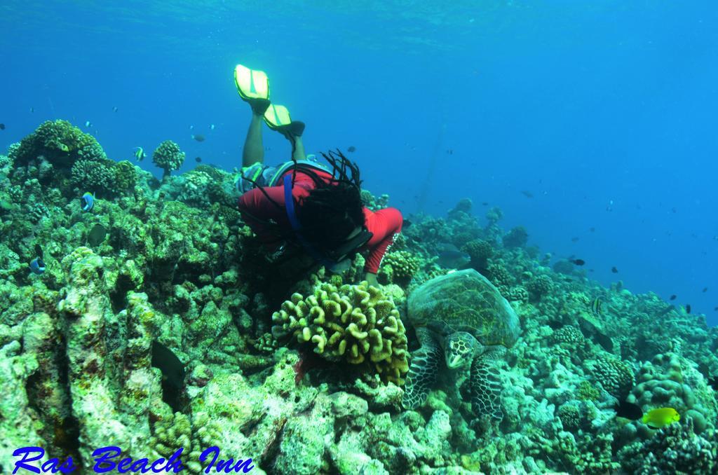 Ras Beach Inn Rasdhoo المظهر الخارجي الصورة